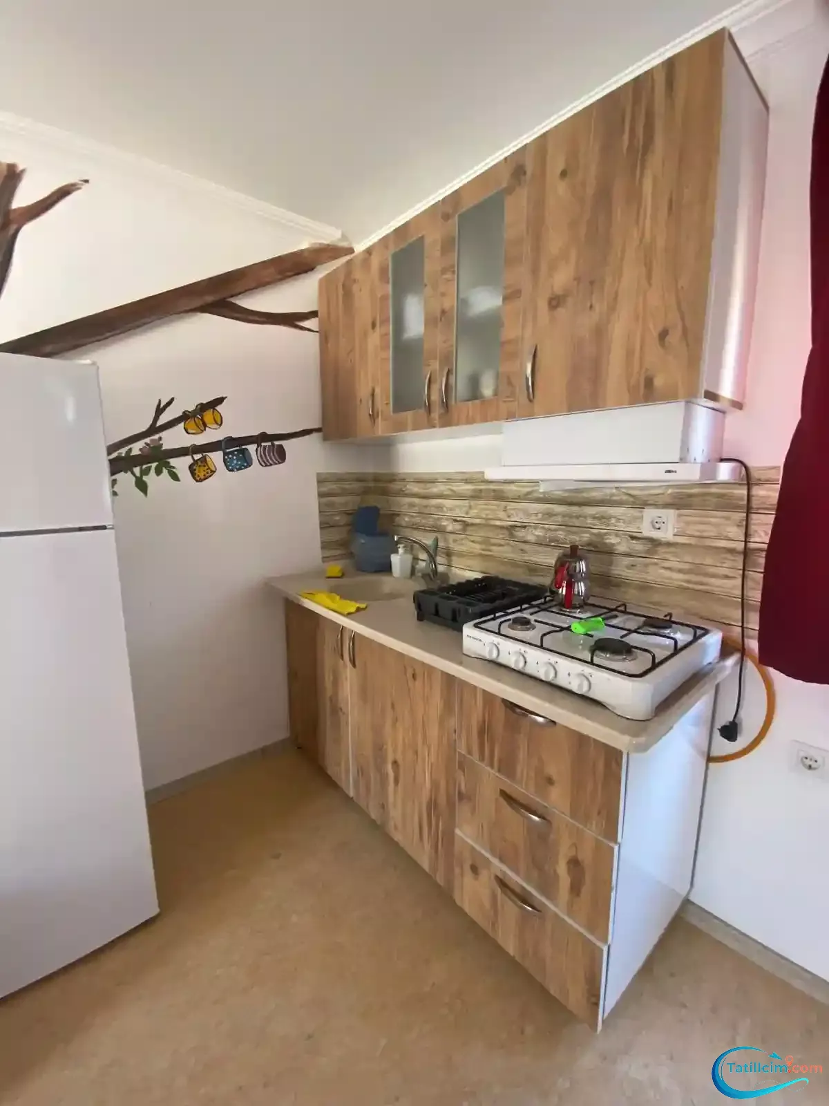 tatilcim.com Adrasan Asya Apart 